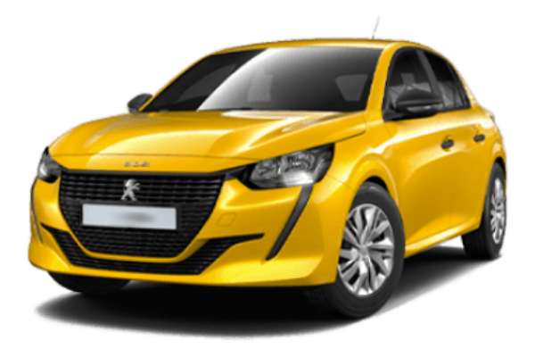 Peugeot 208 AT (29)